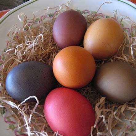 Agriturismo Affitto Camere Oltrepo Pavese Provincia di Pavia Nord Italia Lombardia